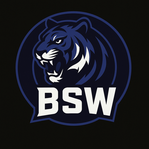 BSW Esports