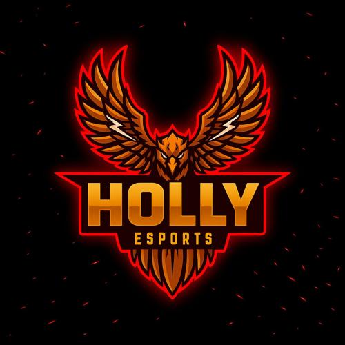 TEAM HOLLY