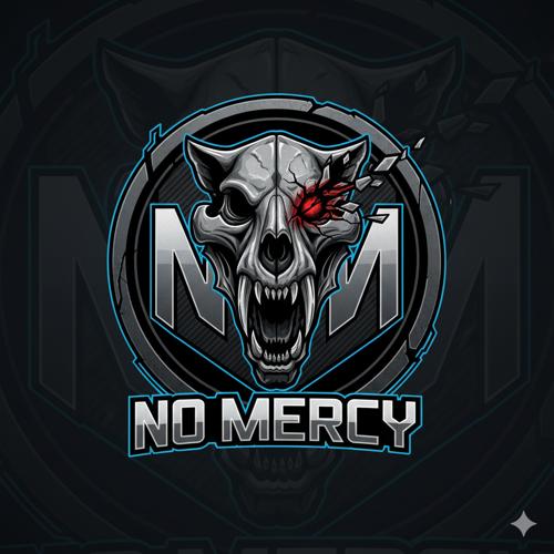 NO MERCY TEAM