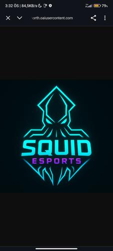 SQUİD ESPORTS