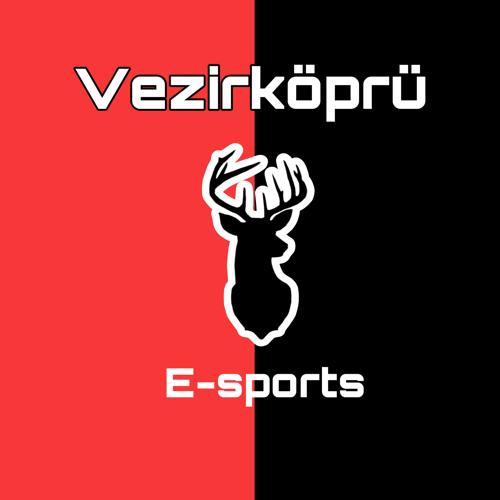 Vezirköprü E-sports