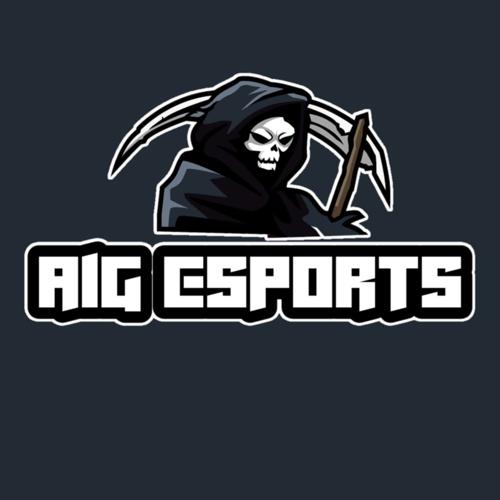 A1G ESPORTS