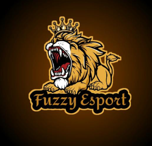 Fuzzy esport
