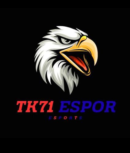 TK71-ESPORTS
