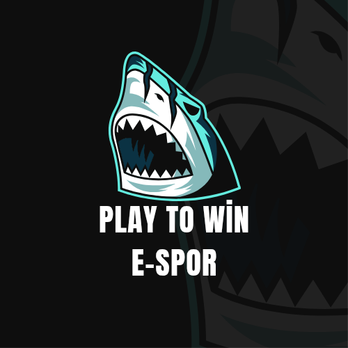 Play To Win E-Spor