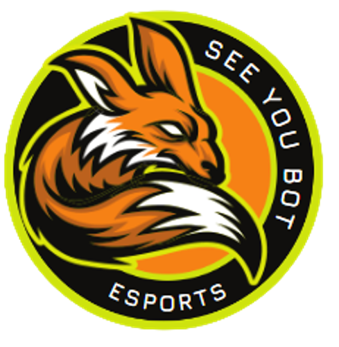 SeeYouBot E-Sports