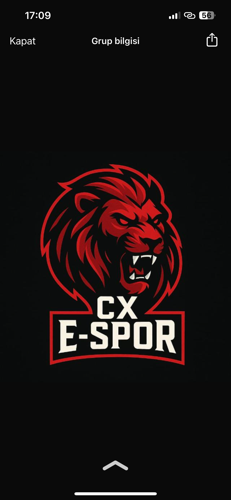 CX esports