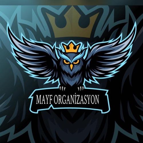 MAYF ESPORTS