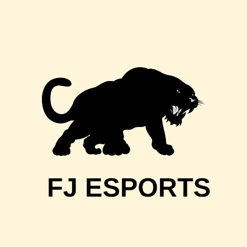 FJ Esports