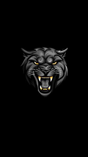 MANSİON STAR ESPORTS