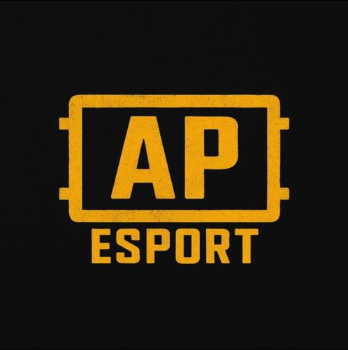AP ESPORTS