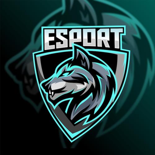 Frost Esport