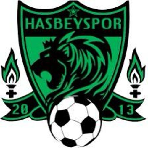 Hasbey E spor