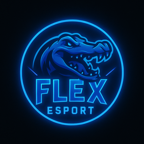 FLEX GAMİNG