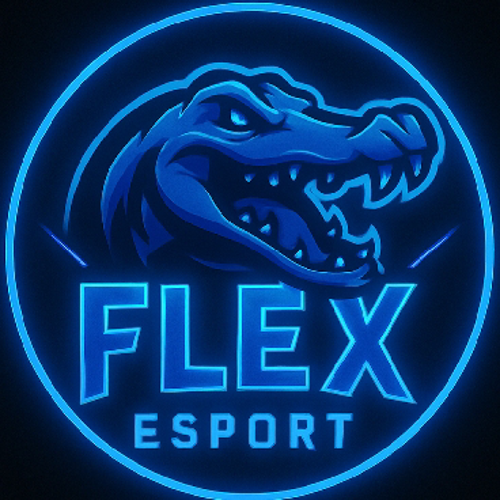 FLEX GAMİNG