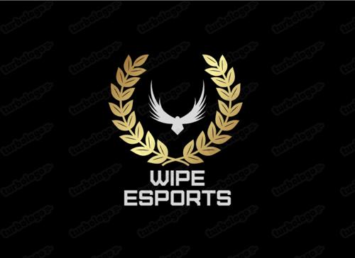 WIPE E-SPORTS