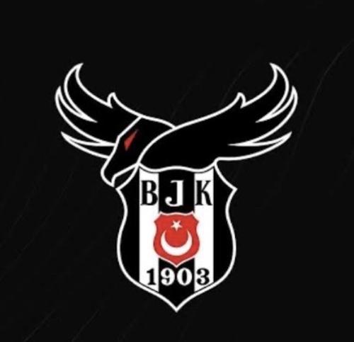 BeşiktaşGetsoAcademy