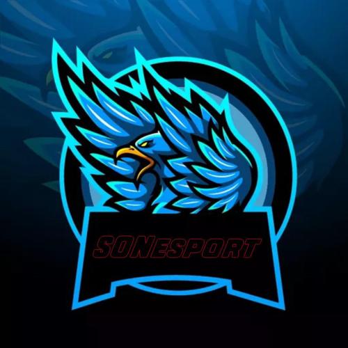 Son Esports