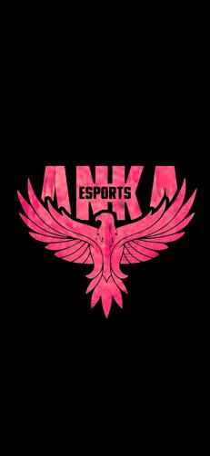 Anka Esports G