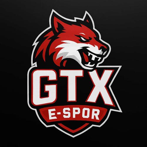 GTX ESPORTS academy