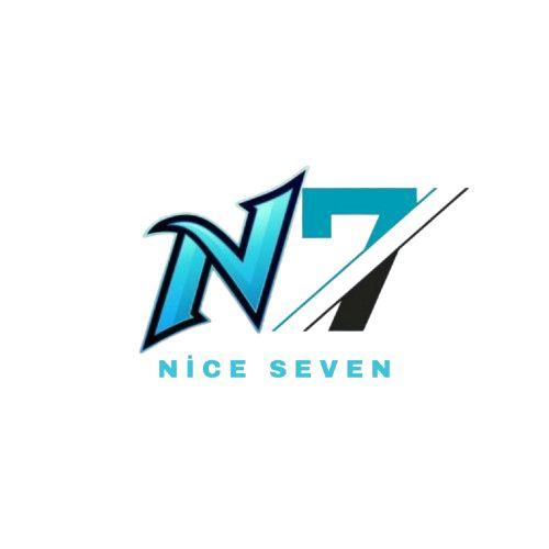 NİCE7 ESPORTS