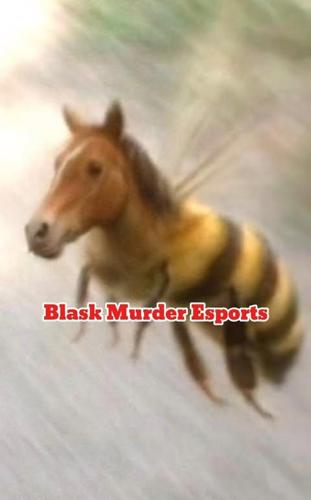 Blask Murder Esports