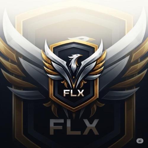 FLX ESPORT