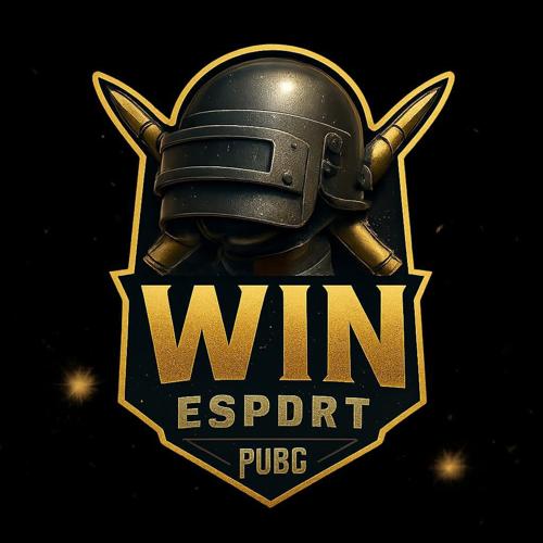 WİN esport
