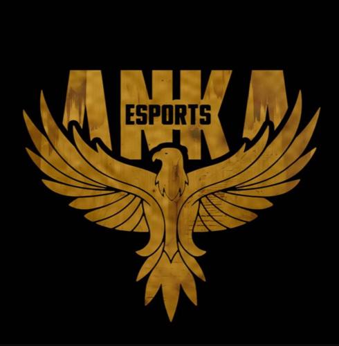 Anka Gaming