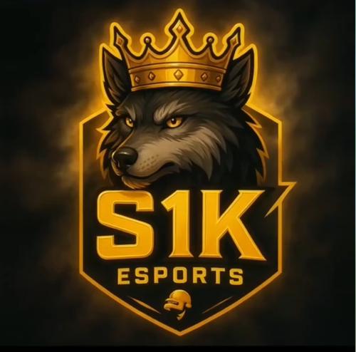 S1K E-SPORTS