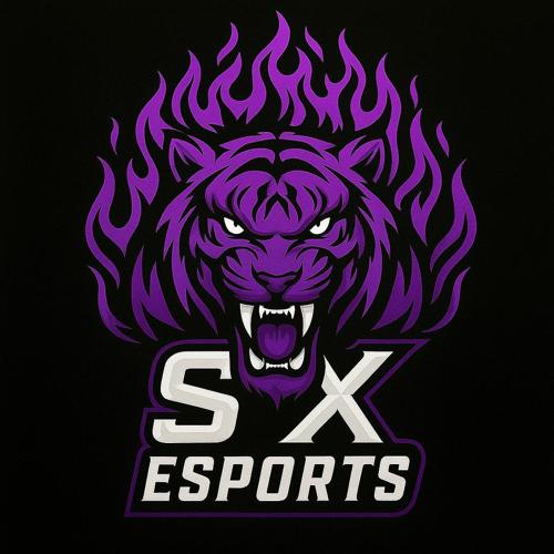 SX-ESPORTS