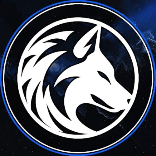 RoadSalvaTion ESPORTS