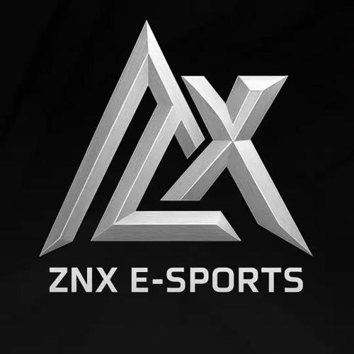 ZONOX E-SPOR