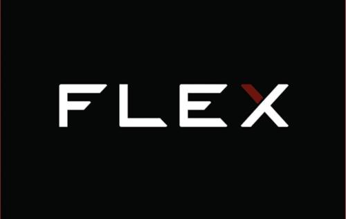 FLEXx Esports