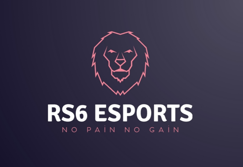 RS6 ESPORTS
