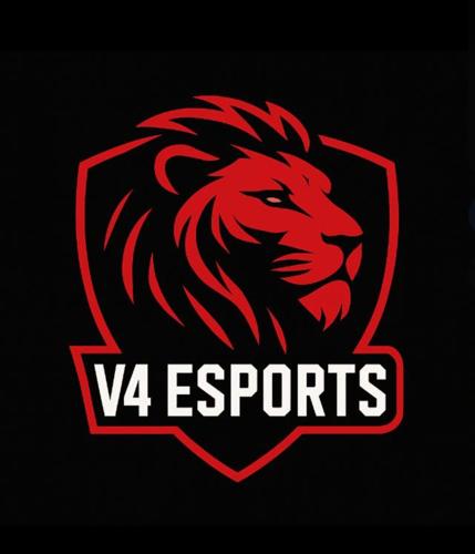 V4 E•SPORTS