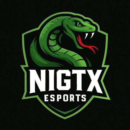NİGTx Esports