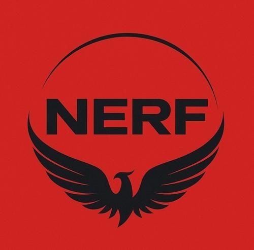 Team NERF