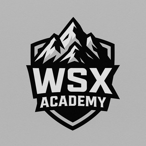 WSX ACADEMY