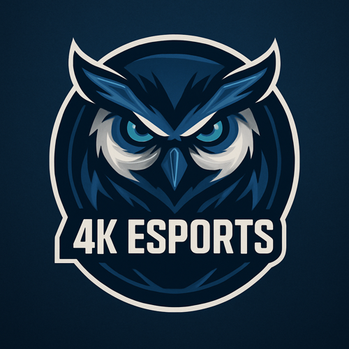 4K ESPORTS