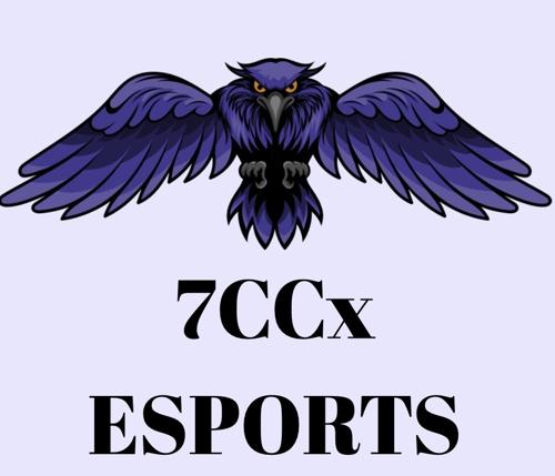 7CCxEsport
