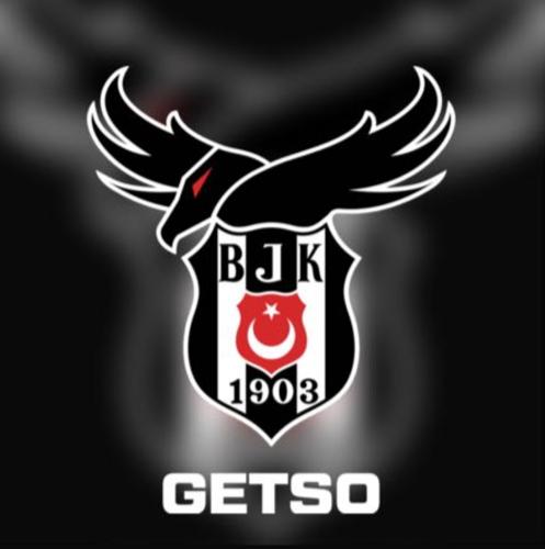 Beşiktaş Getso Academi