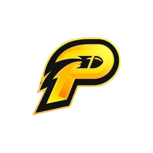 Pınarbaşı Esports