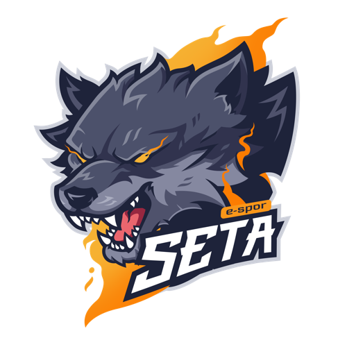 SETA E-SPOR