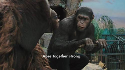 Bunu Yapabiliyo Mu Abi