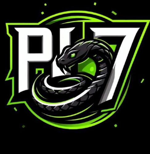 PH7 ESPORTS