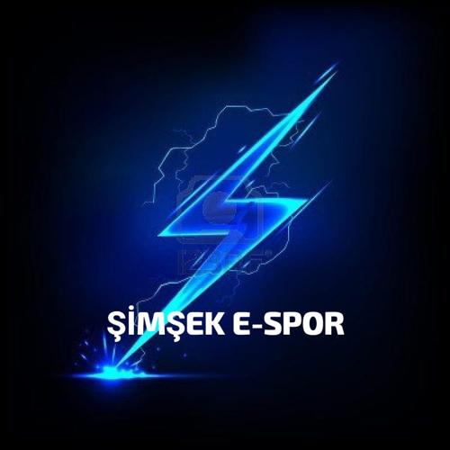 Şimşek E spor