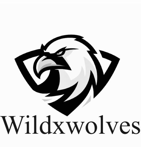 Wildxwolves esports