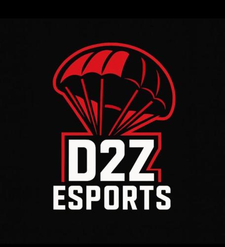 D2Z ESPORT