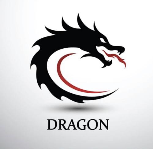 DRAGON WARRİORS